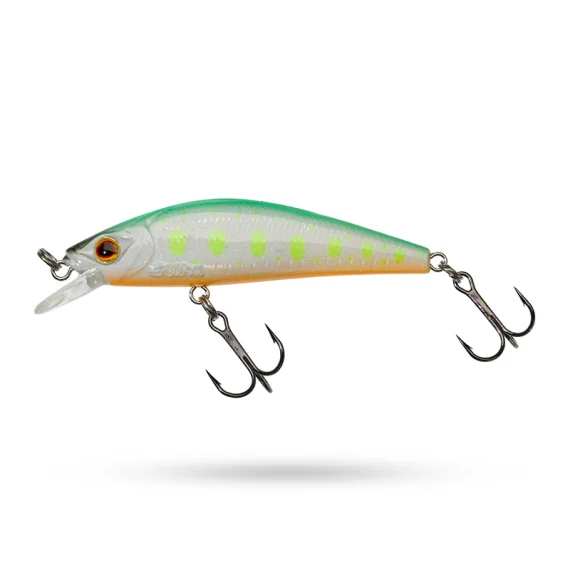 sportfishtackle202606032202052518090