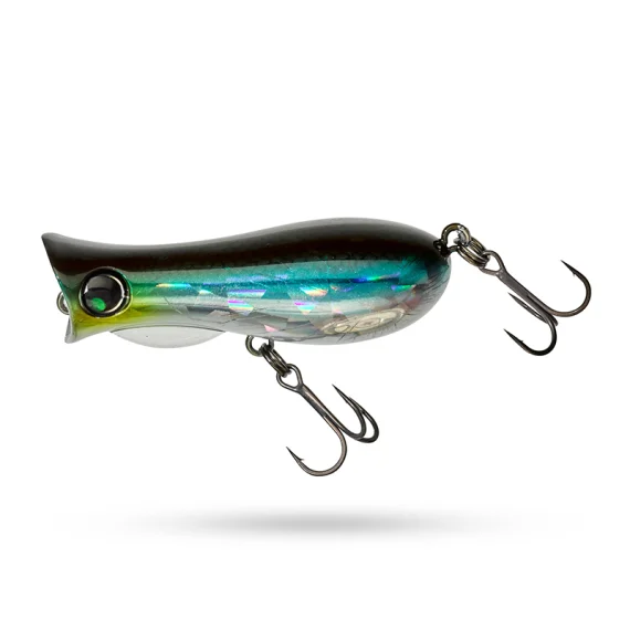 sportfishtackle202606032202462518408