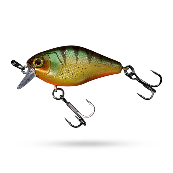 sportfishtackle202606032205042519351