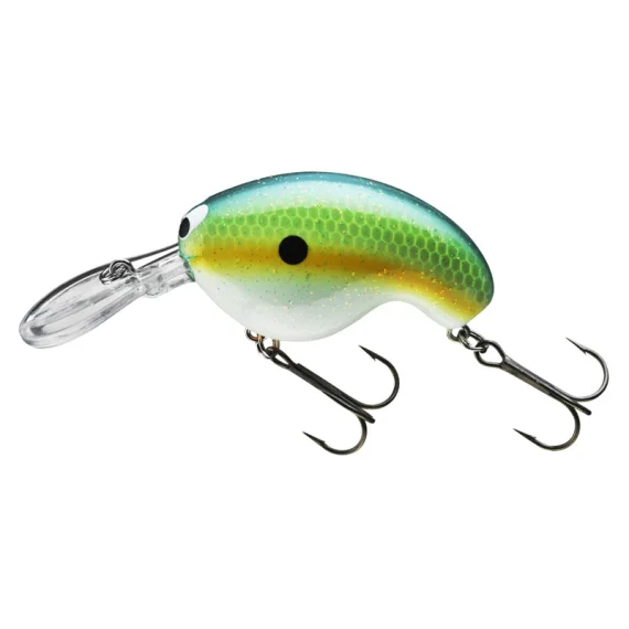 sportfishtackle202606032218222524058
