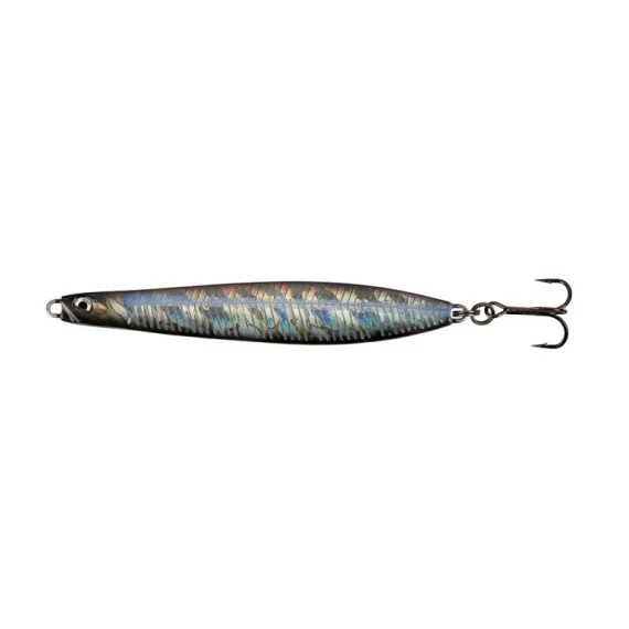 sportfishtackle202606032252182538246