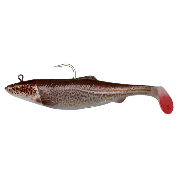 sportfishtackle202606032320392547500
