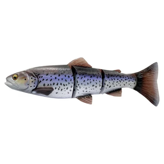 sportfishtackle202606032334042551106
