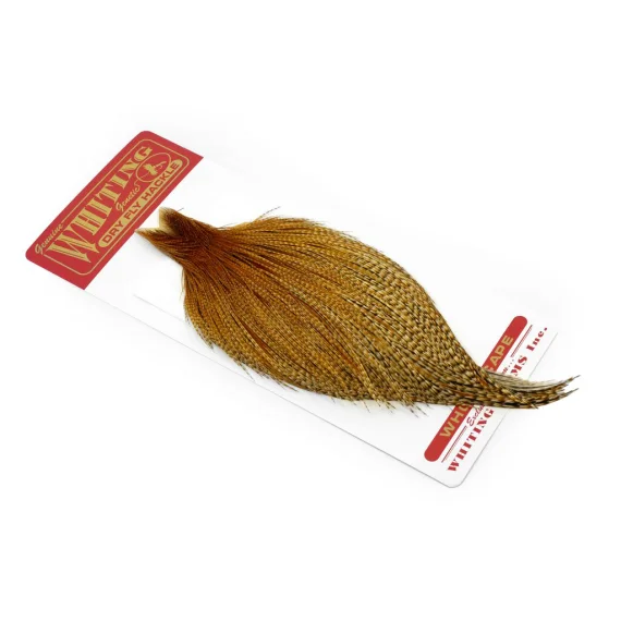 sportfishtackle202606032347102554631