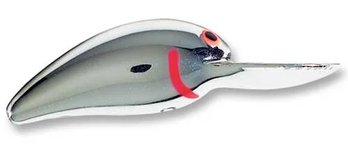 sportfishtackle202606040010392561076