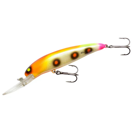 sportfishtackle202606040011182561252