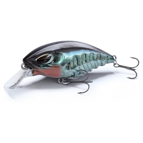 sportfishtackle202606040014302562153