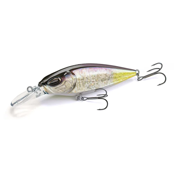 sportfishtackle202606040014422562206