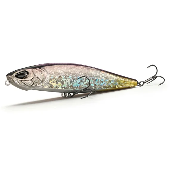 sportfishtackle202606040014422562207