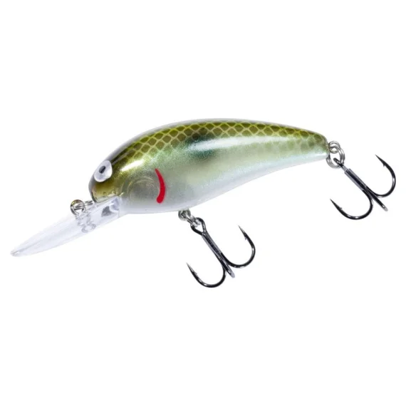 sportfishtackle202606040016382562748