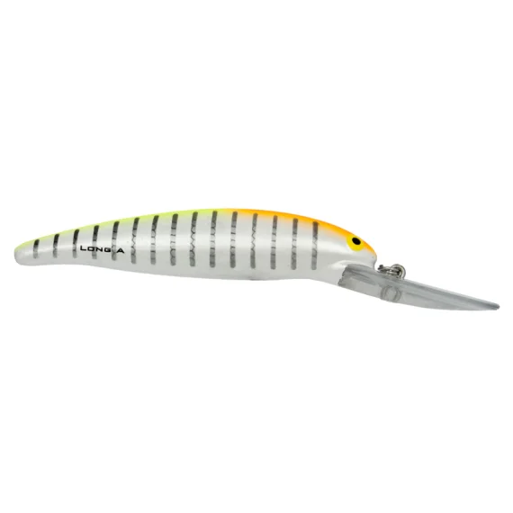 sportfishtackle202606040022262564358