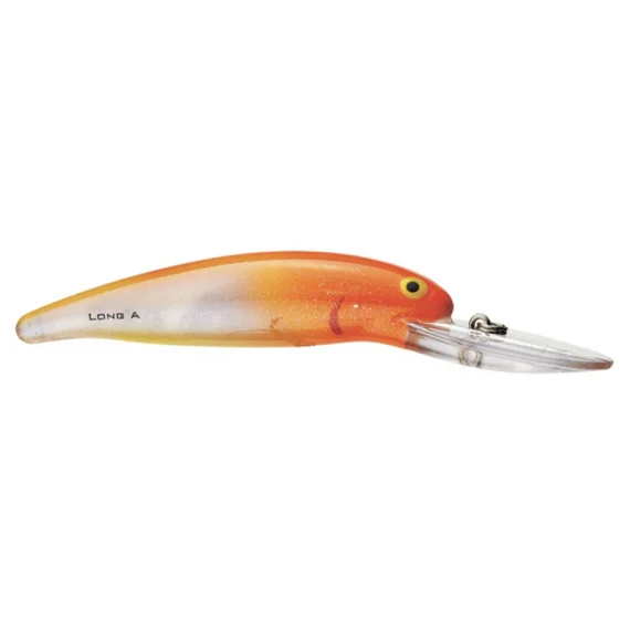 sportfishtackle202606040022282564370