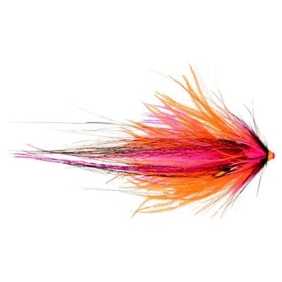 sportfishtackle202606040026012565291