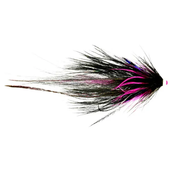 sportfishtackle202606040026012565293
