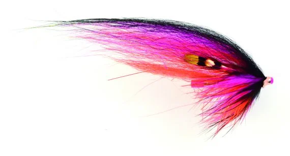 sportfishtackle202606040054502572543