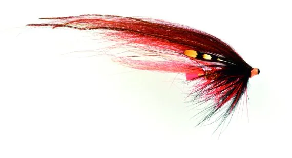sportfishtackle202606040055092572629