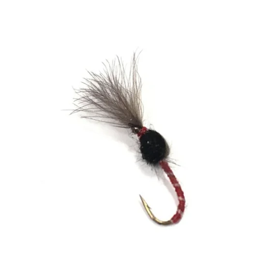 sportfishtackle202606040058282573434