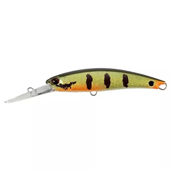 sportfishtackle202606040101302574162