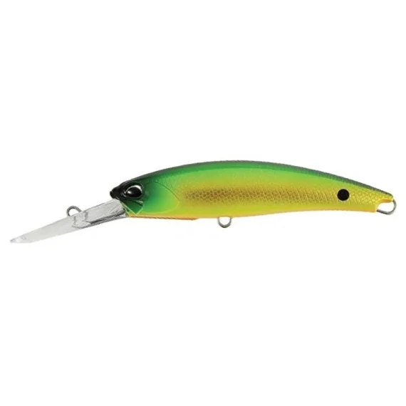 sportfishtackle202606040101322574172