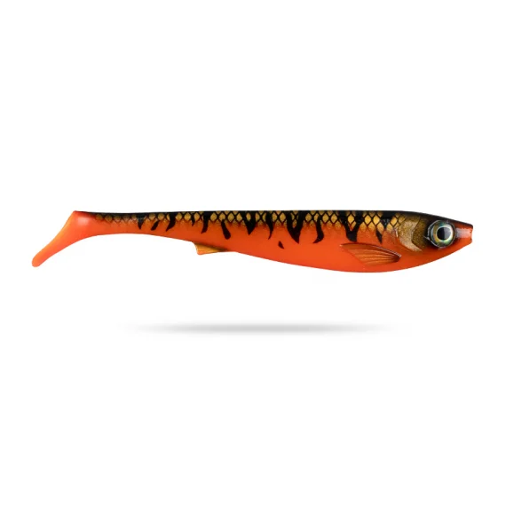 sportfishtackle202606040110182576337
