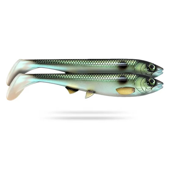 sportfishtackle202606040110222576355