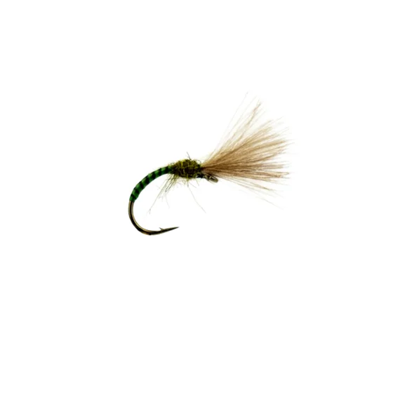 sportfishtackle202606040120032578614