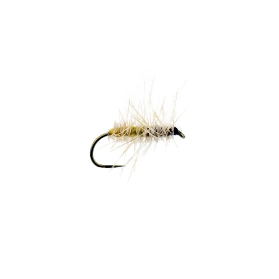 sportfishtackle202606040120352578726