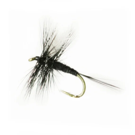 sportfishtackle202606040120572578818