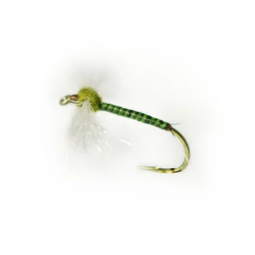 sportfishtackle202606040121012578833