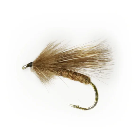 sportfishtackle202606040121252578928