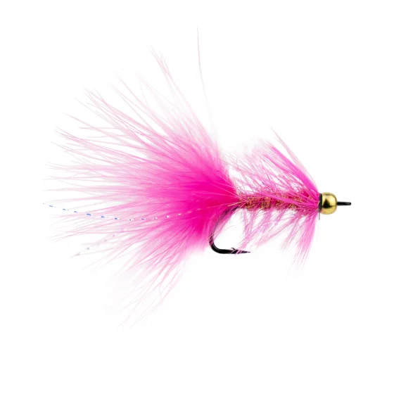 sportfishtackle202606040121422579002