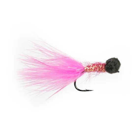 sportfishtackle202606040122122579122
