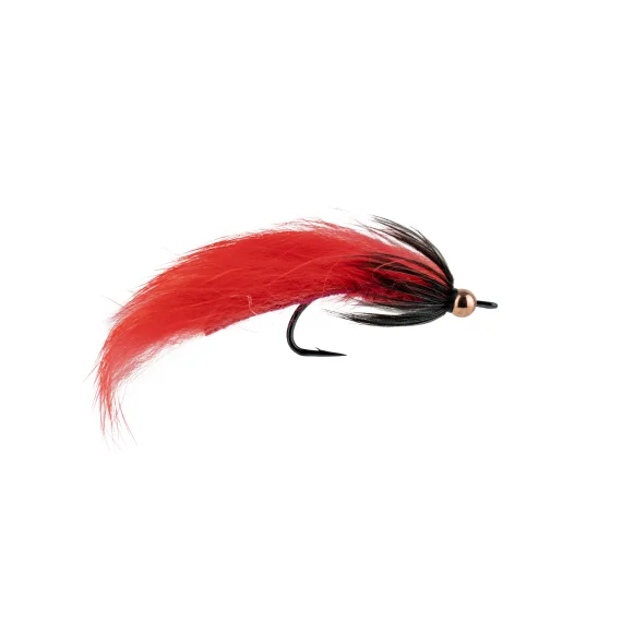 sportfishtackle202606040122272579181