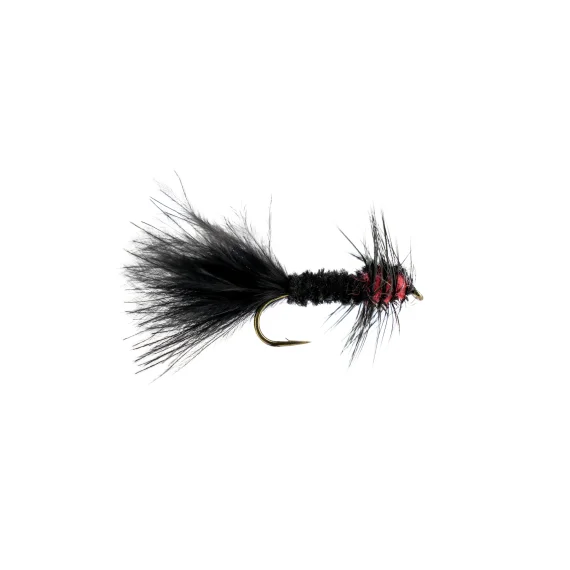 sportfishtackle202606040122422579238