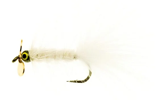sportfishtackle202606040134252582241