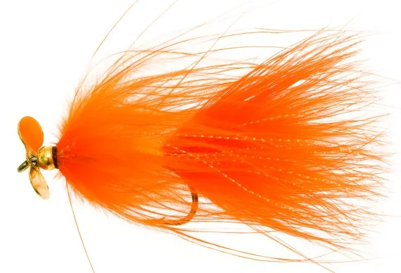 sportfishtackle202606040134322582277