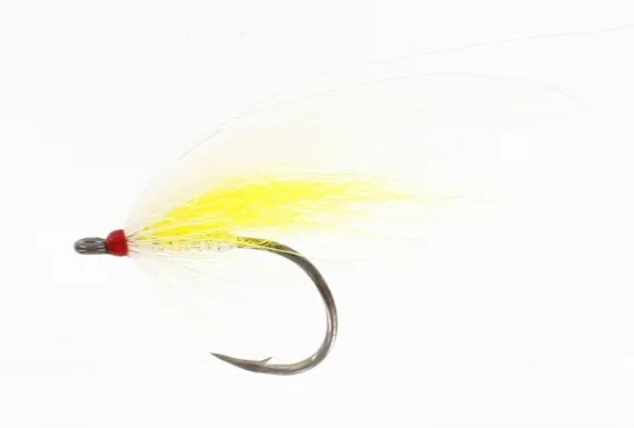 sportfishtackle202606040134402582308
