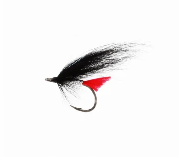 sportfishtackle202606040134432582326