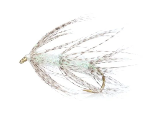 sportfishtackle202606040134472582342