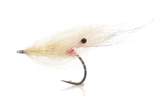 sportfishtackle202606040134552582381