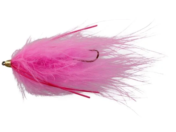 sportfishtackle202606040136482582877