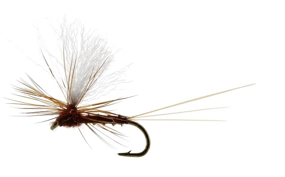 sportfishtackle202606040137032582942