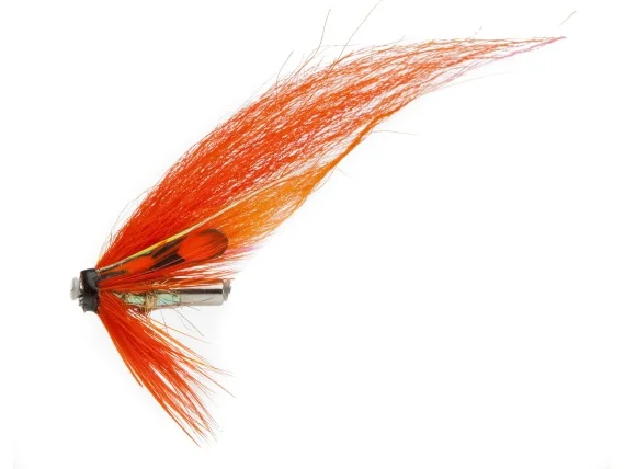 sportfishtackle202606040138042583207