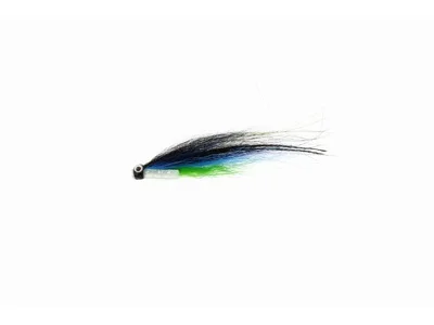 sportfishtackle202606040138122583240