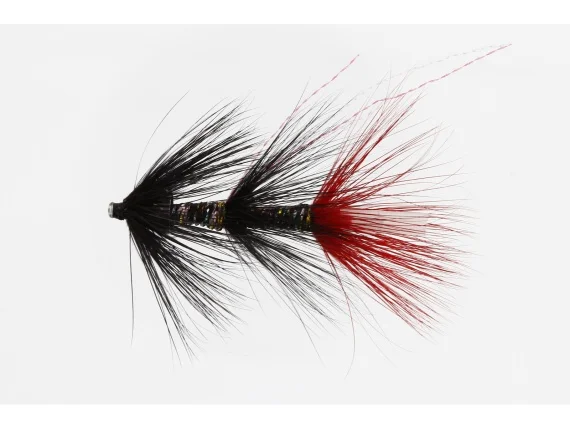 sportfishtackle202606040138162583255