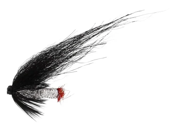 sportfishtackle202606040138422583368