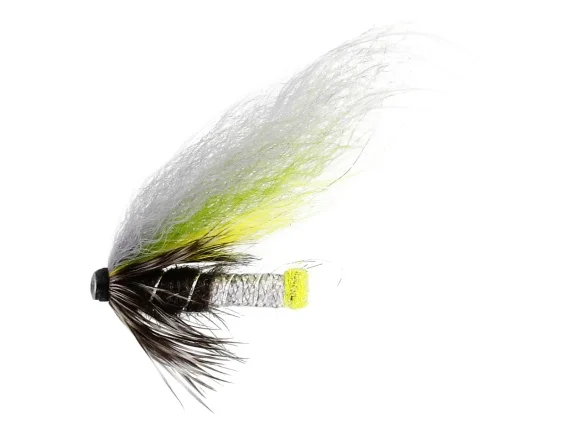 sportfishtackle202606040138532583419