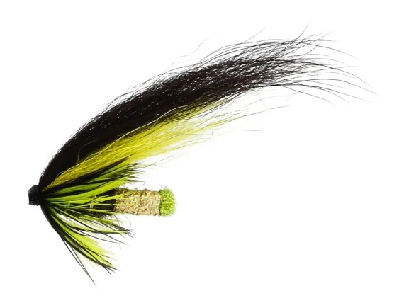 sportfishtackle202606040139012583449