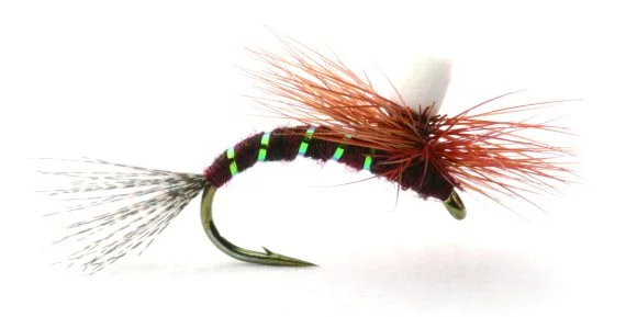 sportfishtackle202606040150542586410