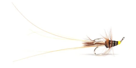 sportfishtackle202606040151052586461